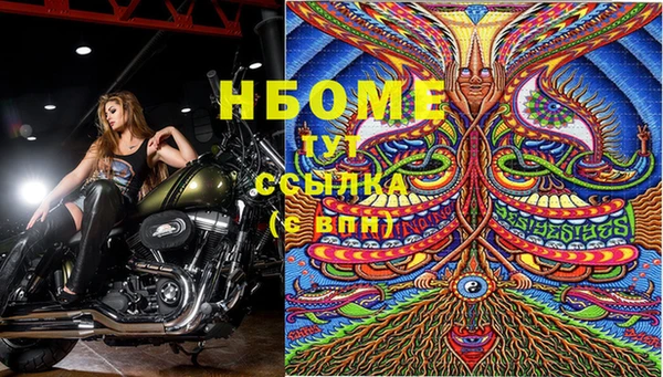 амф Алзамай