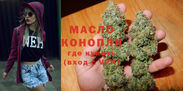 дмт Пересвет