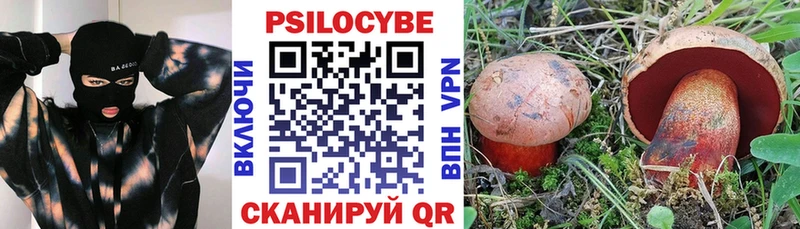 Псилоцибиновые грибы Psilocybine cubensis  mega ТОР  Спасск  цены  